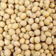 soyabean dana 250 gm