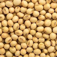 soyabean dana 250 gm